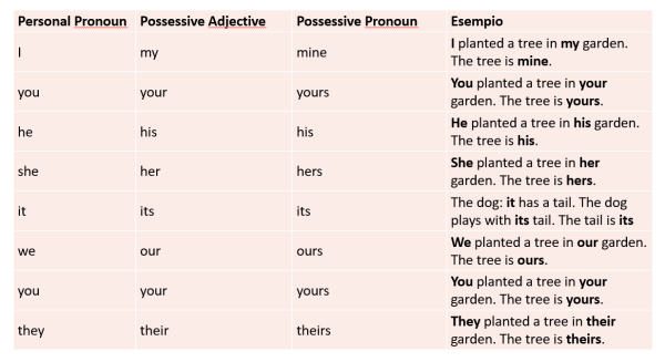 Aggettivi possessivi in inglese come si usano e frasi esempio - Calzari